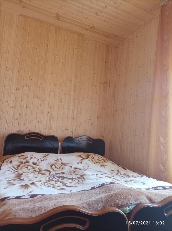 Maizer Qaldani Guesthouse Chvabiani المظهر الخارجي الصورة